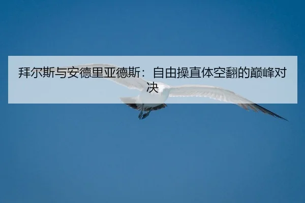 拜尔斯与安德里亚德斯：自由操直体空翻的巅峰对决