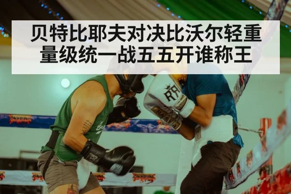 贝特比耶夫对决比沃尔轻重量级统一战五五开谁称王